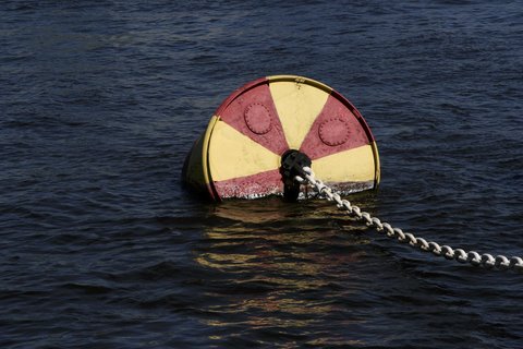 anchor-and-buoy