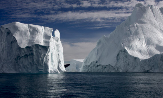 icebergs