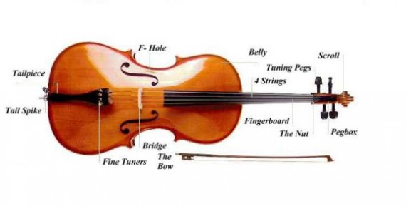 cello