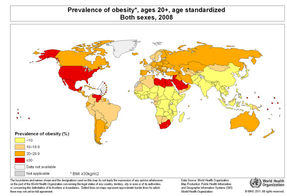 obesity
